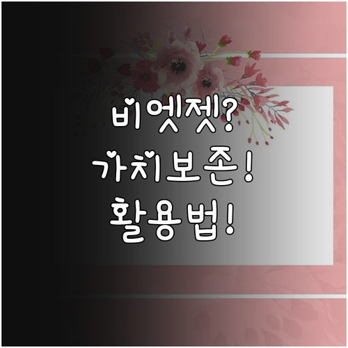 비엣젯 티켓 가치 보존 제대로 활용하..