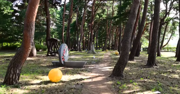 봄에 떠나기 좋은 국내 여행