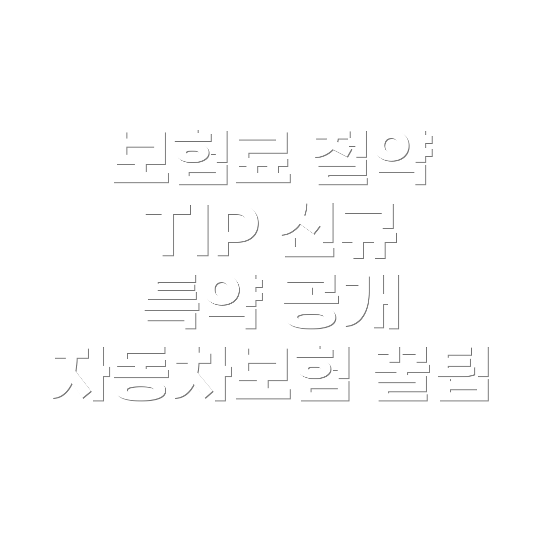 저렴한 자동차보험 특약