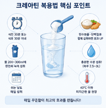 크레아틴-효과-복용법-복용량-부작용-추천-제품