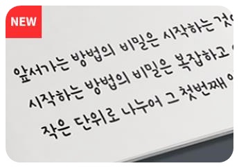 고도 마음체