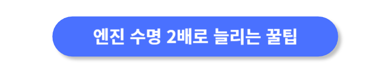 버튼