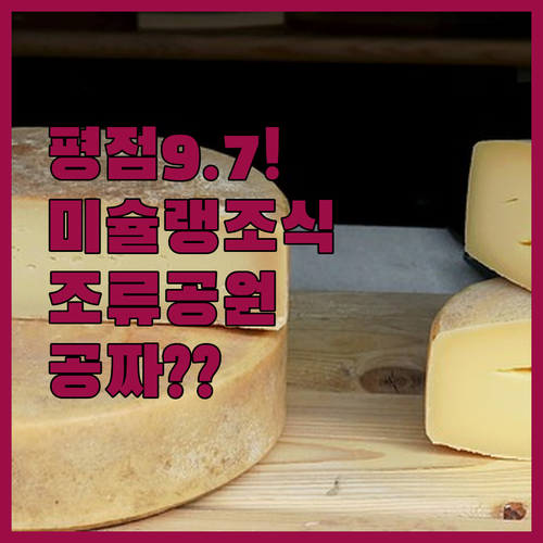 미슐랭 조식부터 조류 공원 무료 입장..