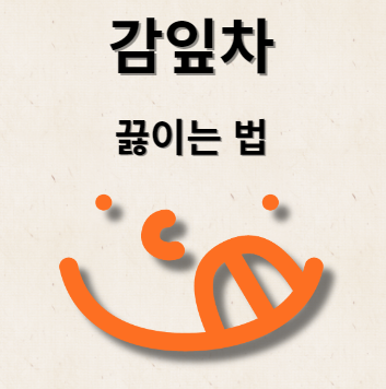 감잎차 끓이는 방법