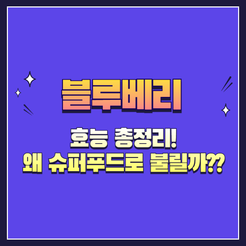 블루베리 효능 총정리! 왜 슈퍼푸드로 불릴까??