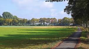 중개수수료 계산기4