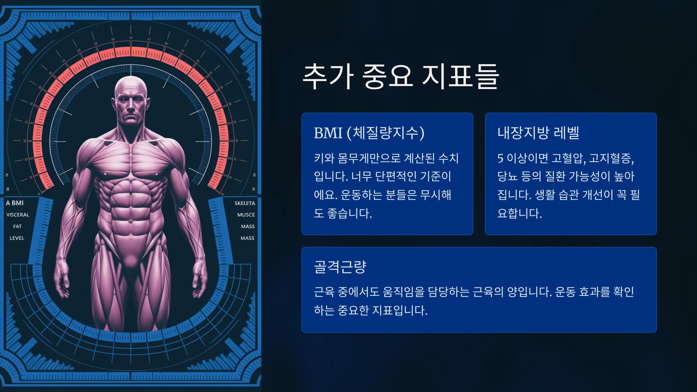 체지방 주요 지표