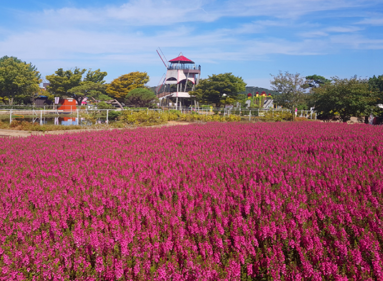 코리아플라워파크