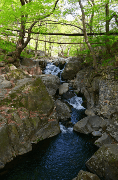 아산-강당골계곡