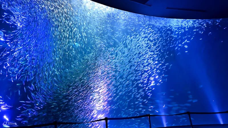 나고야항 수족관 예매