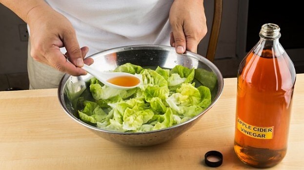 사과식초의 효능