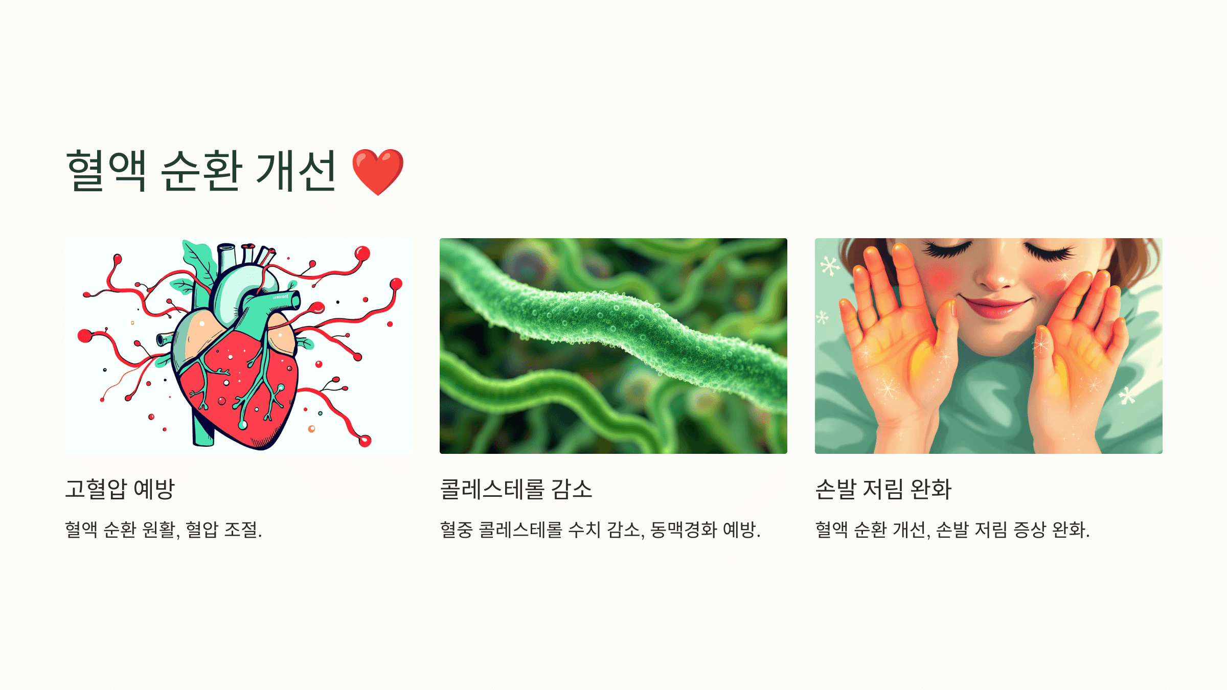 오가피와 관련된 사진입니다.