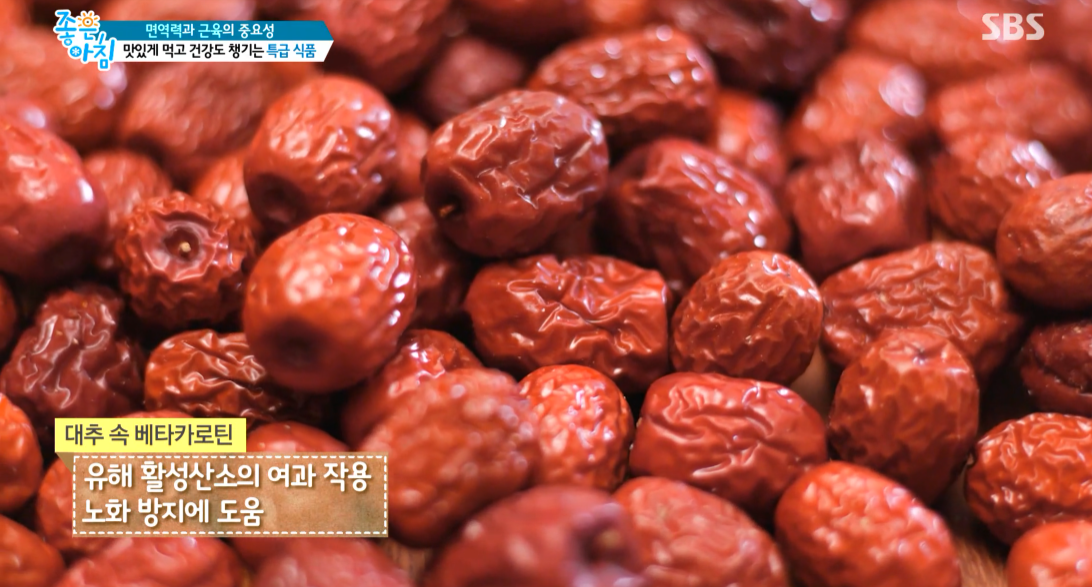 대추 사과대추 효능 대추차 생대추 건대추 고르는법 칼로리 보관법