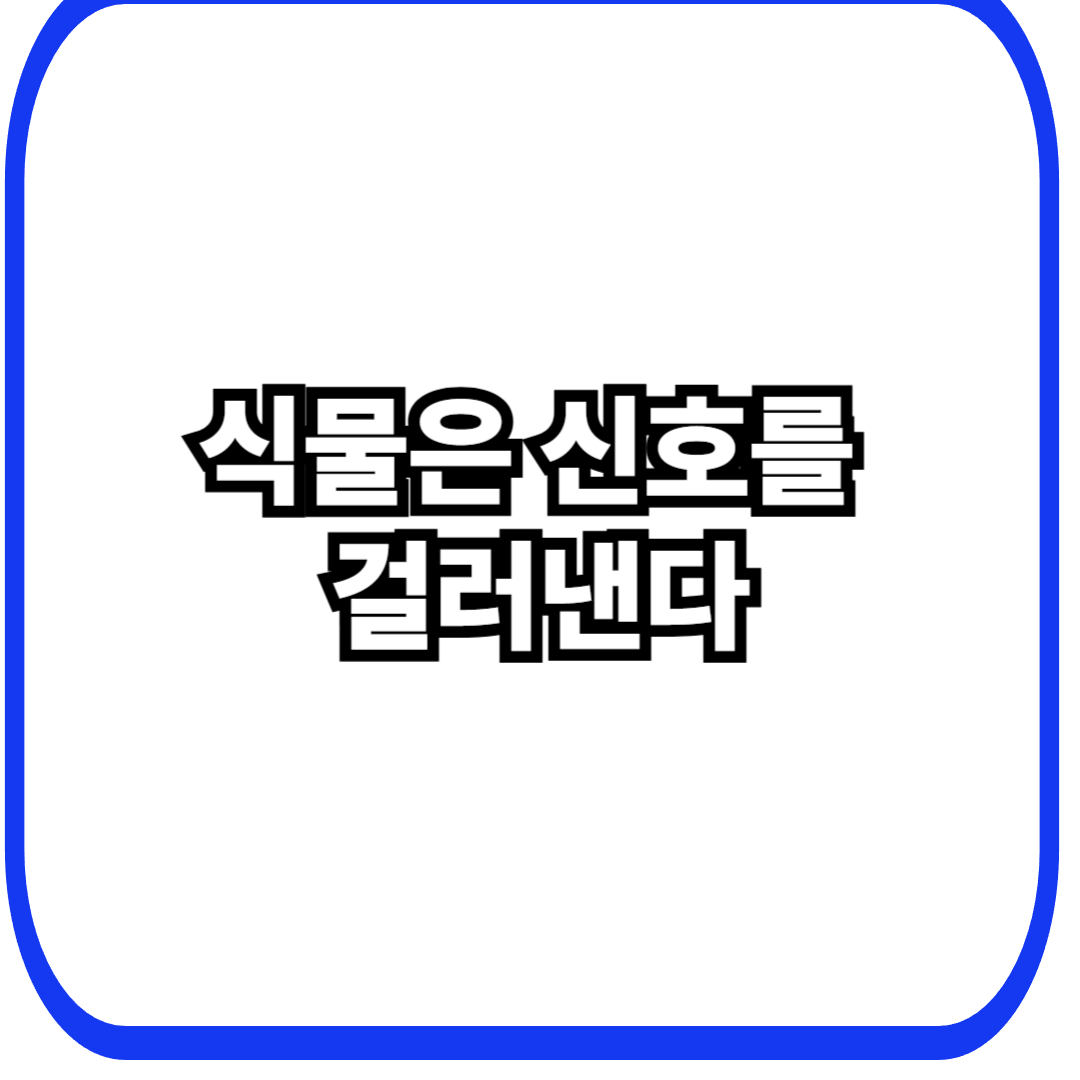 식물 신호 선택 전략에서 시작되는 생존 설계, 모든 변화에 반응하지 않는 이유