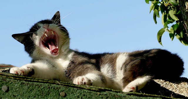 숙면을 위한 침실 환경