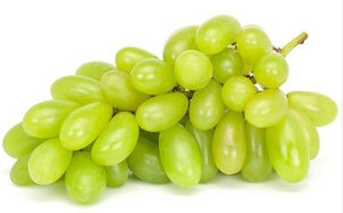 포도의 종류 - 청포도 특징, 보관법