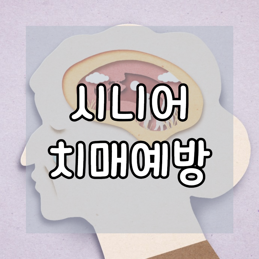 시니어 치매예방