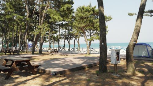 캠핑장-데크사이트