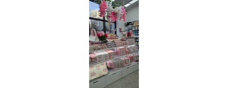 평택시 종합생활용품 다이소