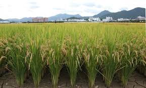 농지연금 수령액 계산 방법