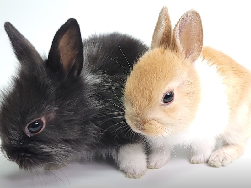 다솜생태체험관