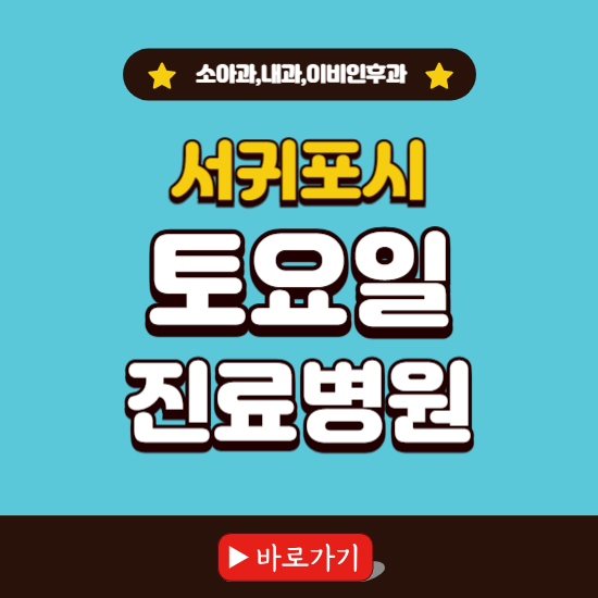 제주 서귀포시 토요일 진료 병원 찾기 ❘ 주말 문여는 소아과, 내과, 이비인후과 리스트