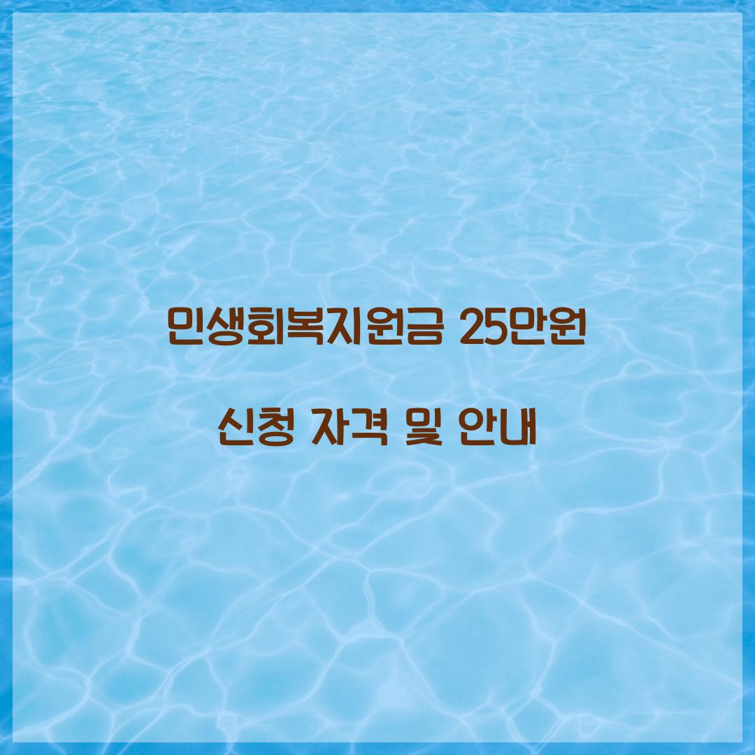 민생회복지원금 25만원