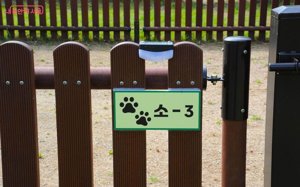 서울시 최초! 반려견 동반 노을 캠핑장 정보 및 예약 방법 알아보기