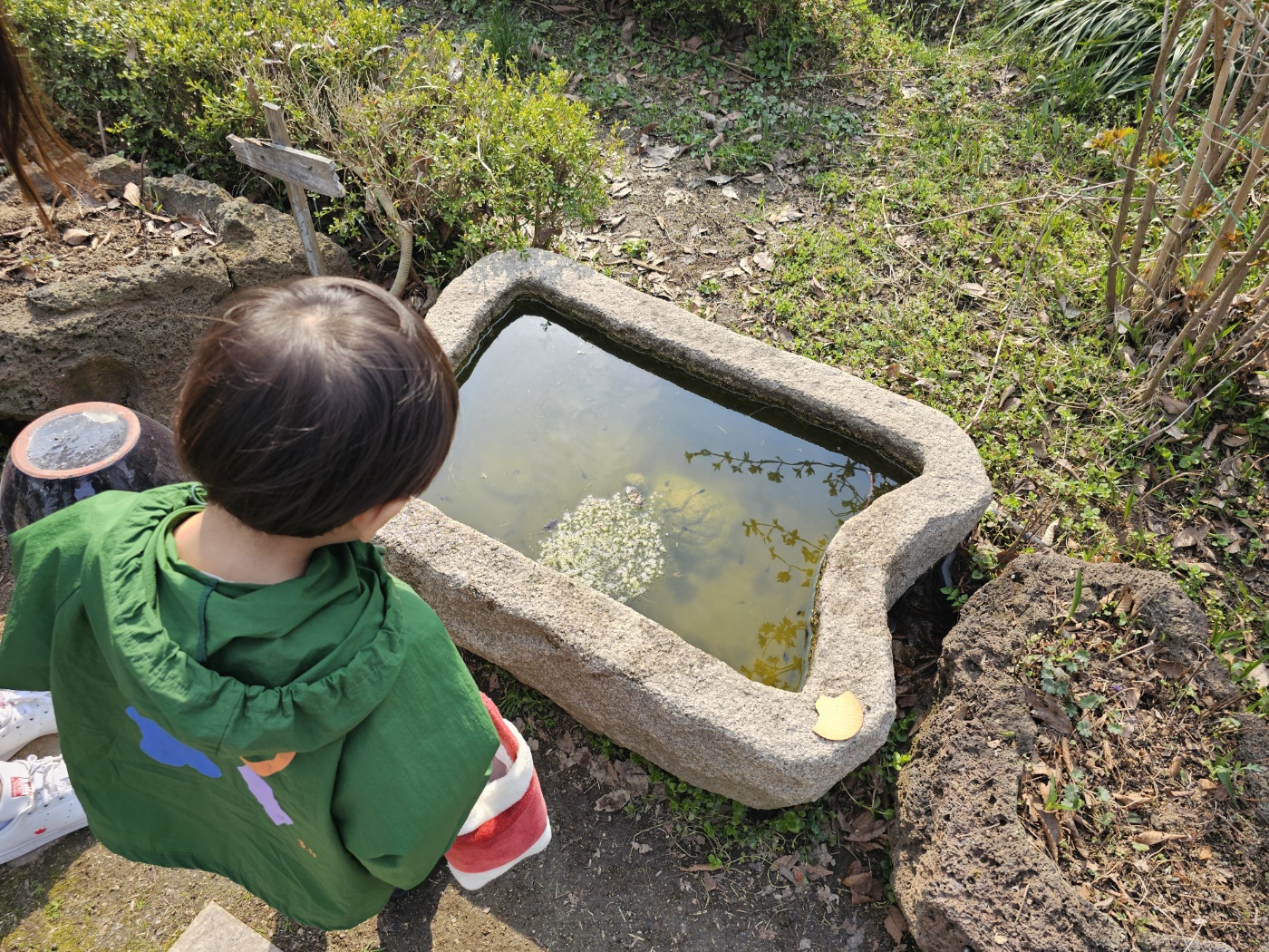※ 그 외 (앵무새/올챙이)