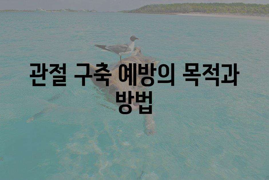 샘플 (1)