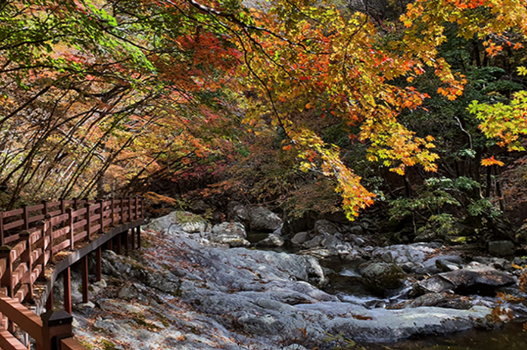 덕유산 케이블카