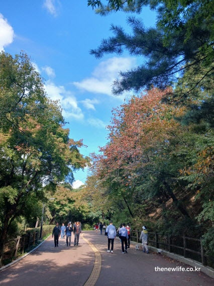 서울 단풍명소 남산 둘레길 단풍 시기와 절정 예상 풍경