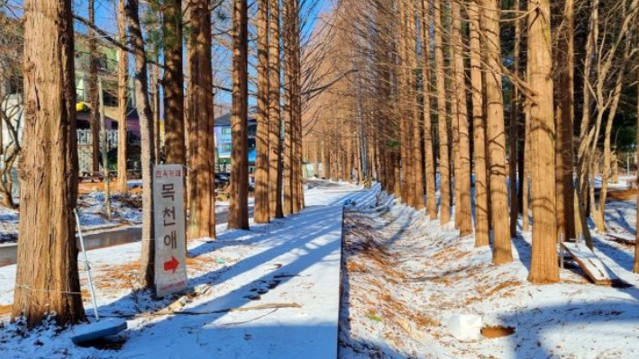 1월 충청남도 가볼만한곳 추천 ❘ 새해 신년 국내 겨울 나들이 여행지 ❘ 충청도 명소 ❘ 데이트 가족