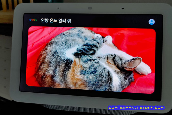 구글 어시스턴트 지그비 온습도계 온도 확인