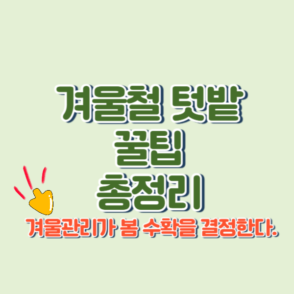 겨울 텃밭 관리법 &ndash; 추운 계절에도 살아남는 노하우