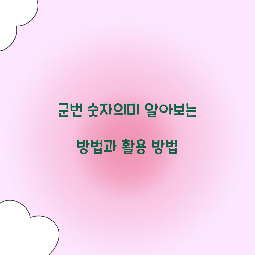 군번 숫자의미