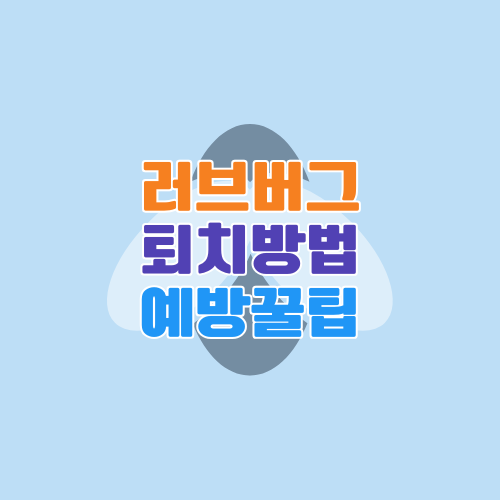 러브버그 퇴치 방법 – 자동차에 들러붙는 붉은등우단털파리 없애는 현실적인 방법