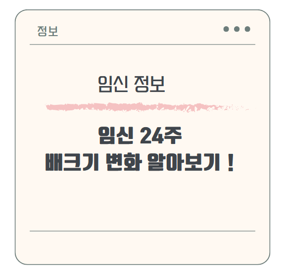임신 24주 배크기 변화 알아보기 !