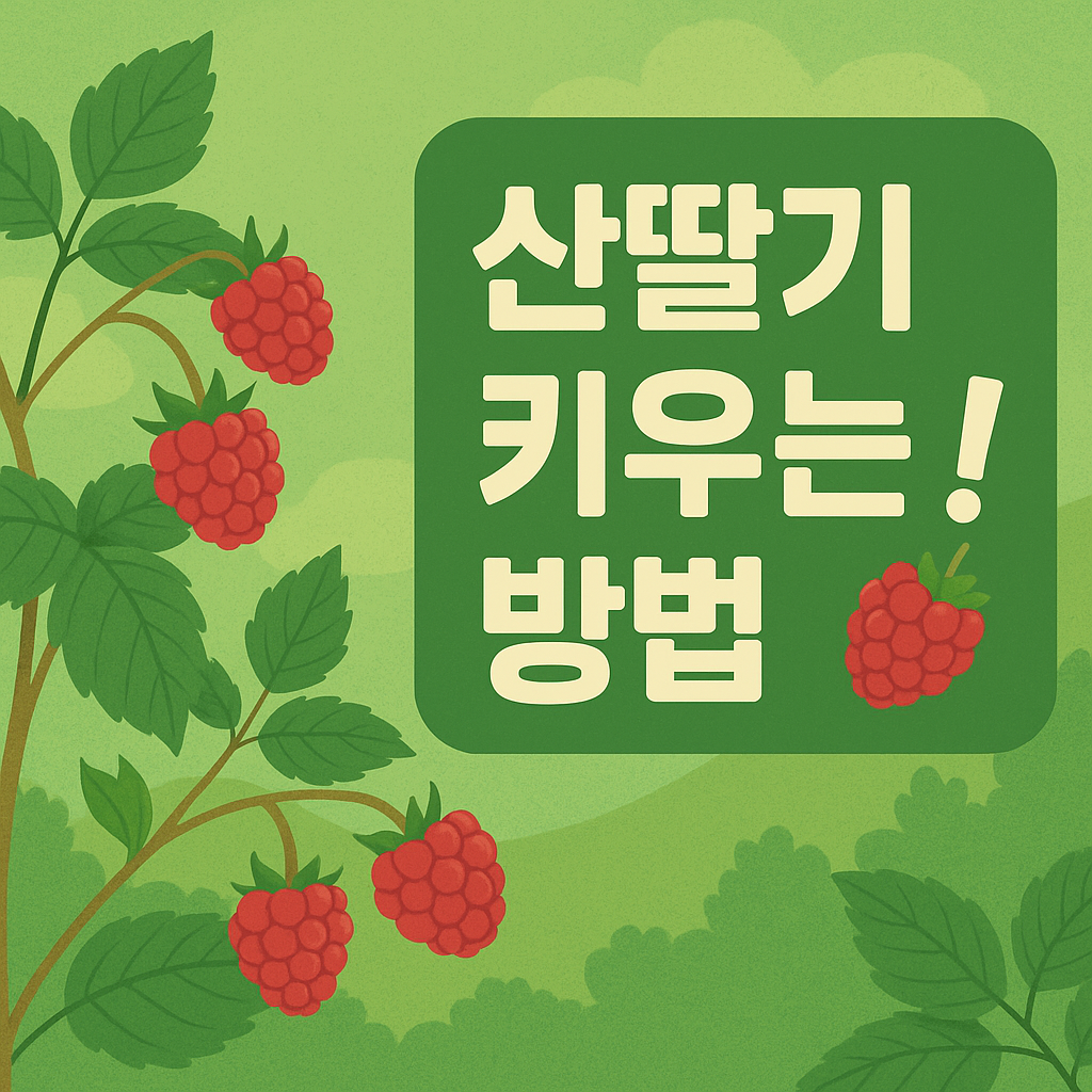 산딸기 키우는 방법