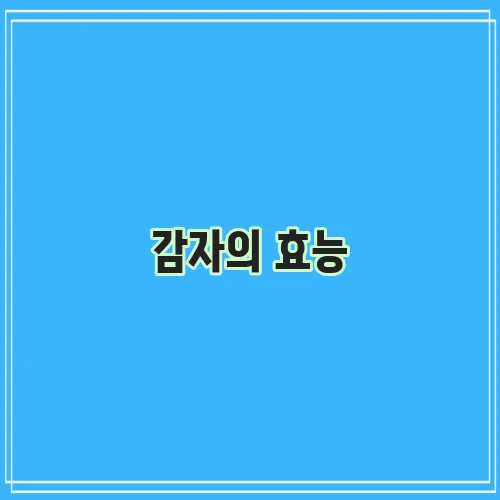 감자의 효능
