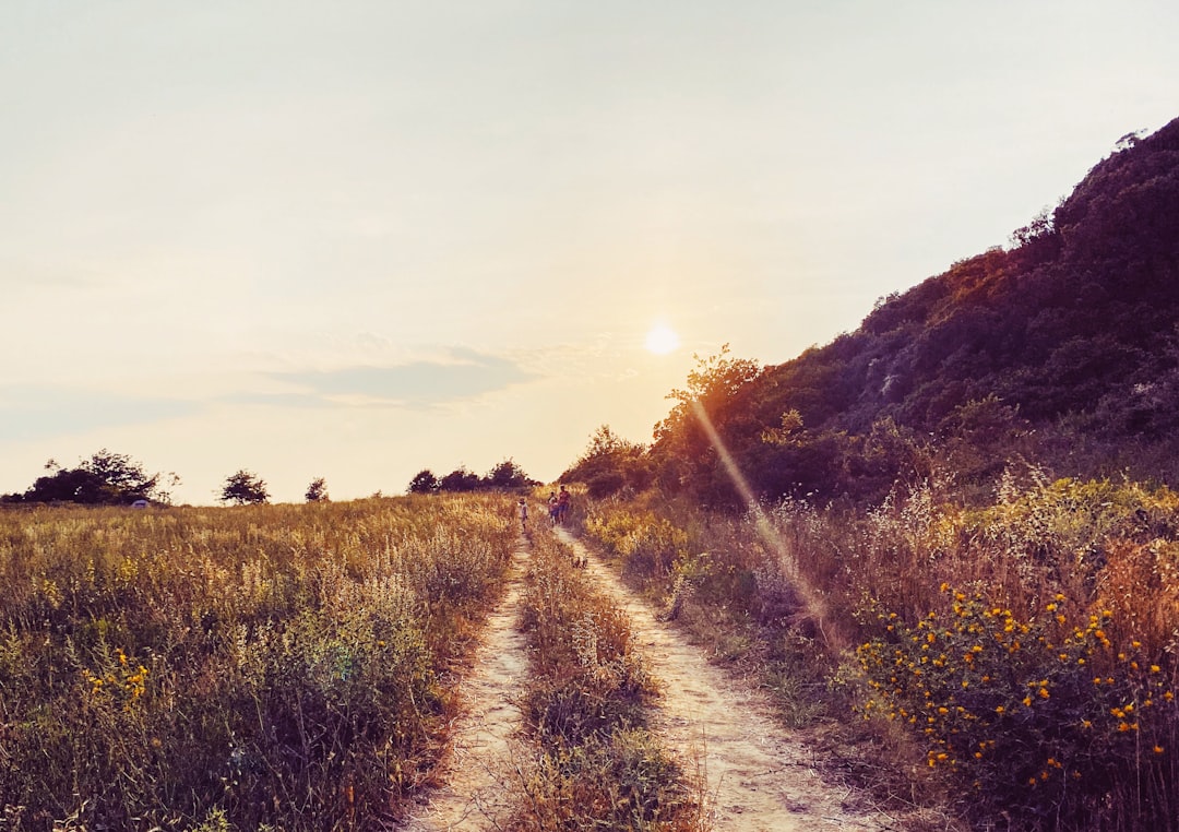 trail
