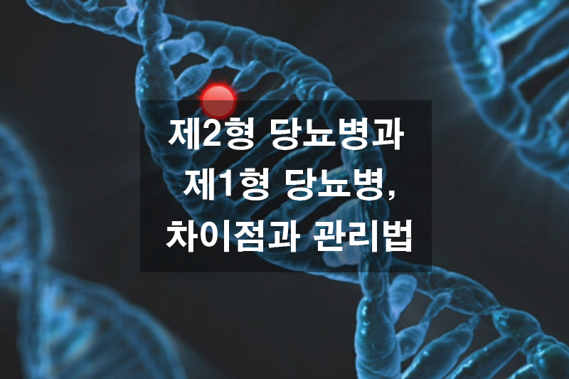 제2형 당뇨병과 제1형 당뇨병&amp;#44; 차이점과 관리법