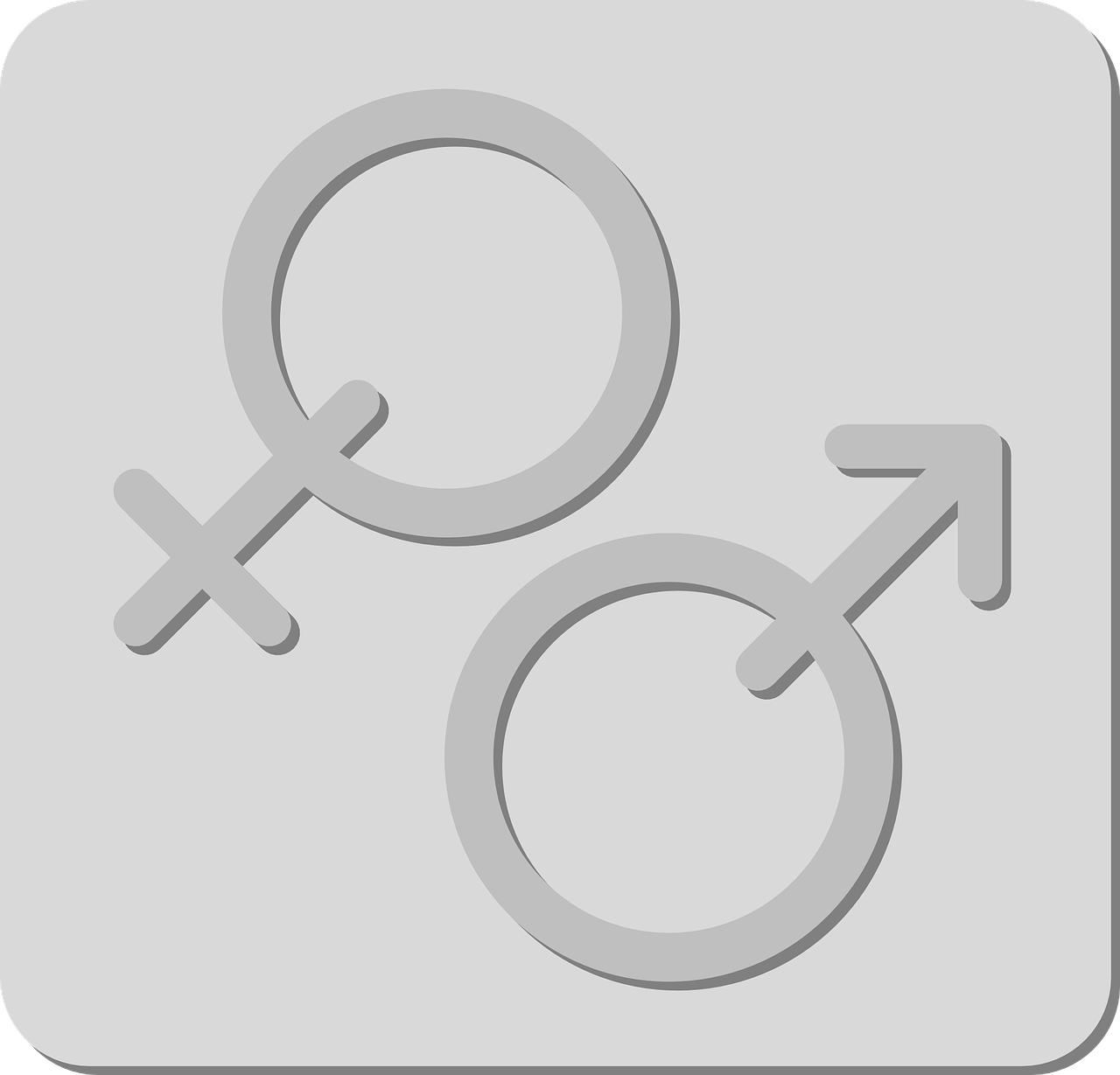 뇌의 성별 차이