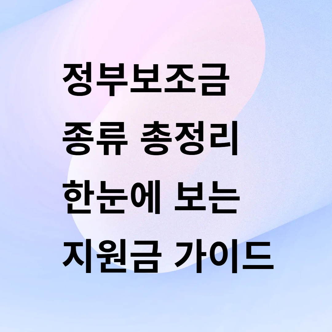 정부보조금 종류 총정리 한눈에 보는 지원금 가이드