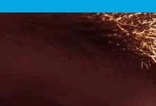 눈 영양제 추천 BEST 5, 놓치면 후회!