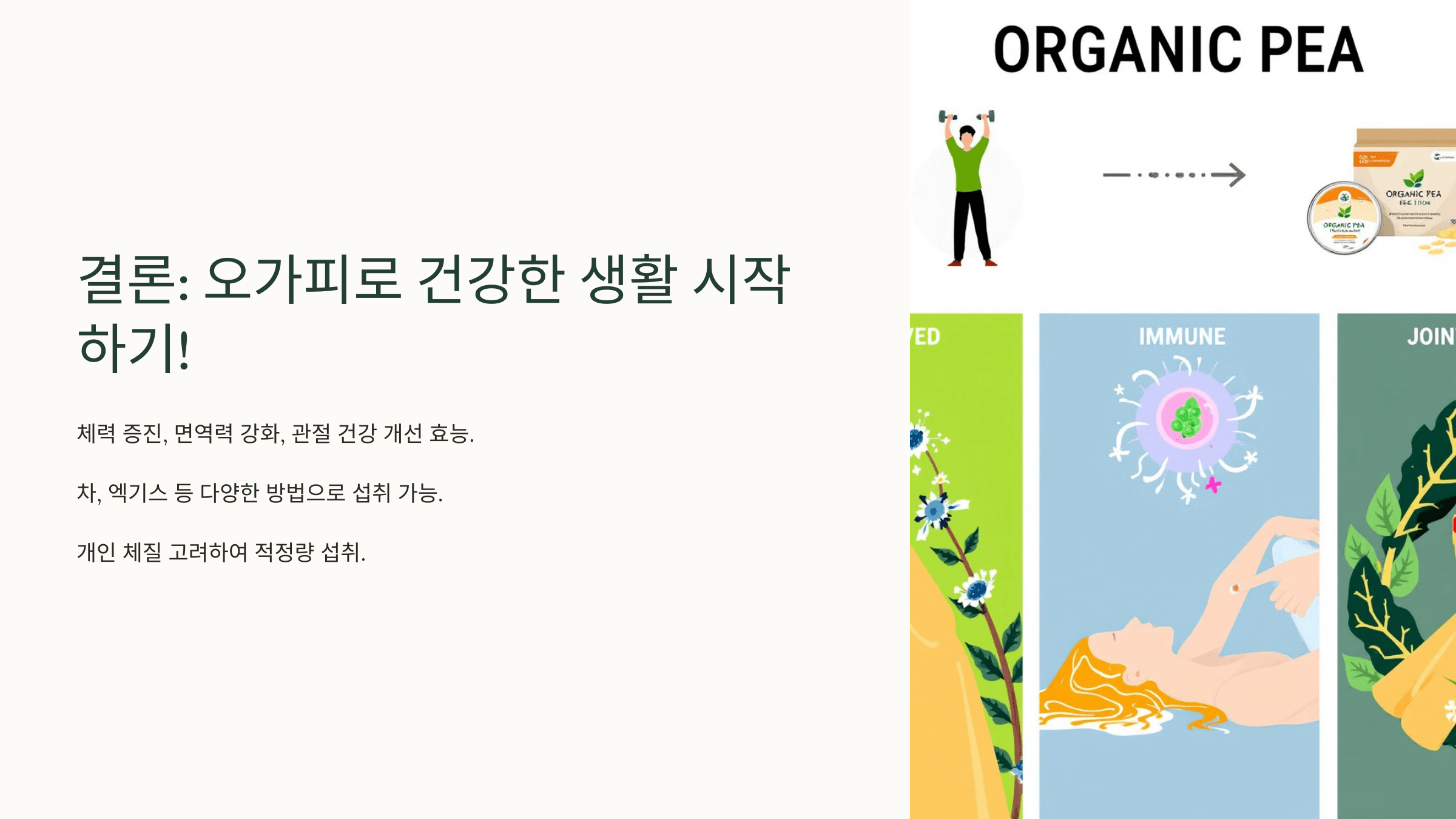 오가피와 관련된 사진입니다.