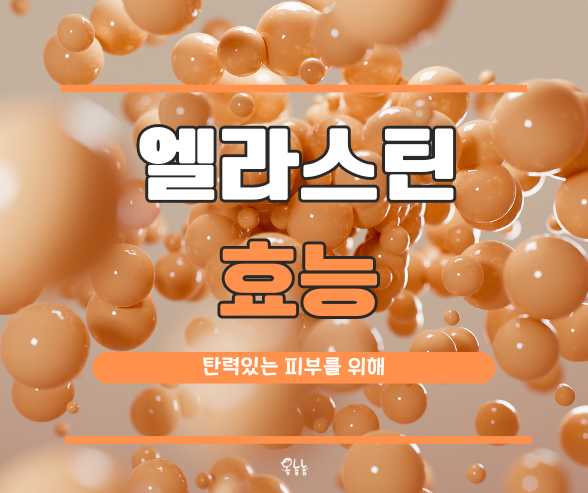 엘라스틴 효능