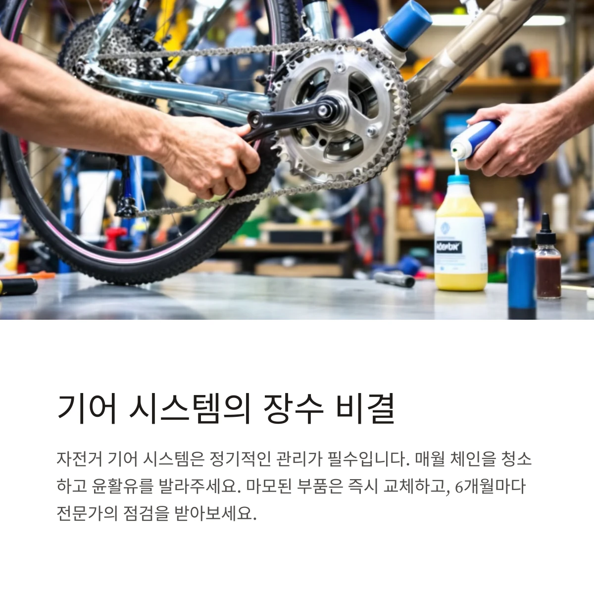 변속기-유지관리