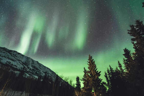 캐나다 워킹홀리데이 완벽 가이드: 비자부터 정착까지