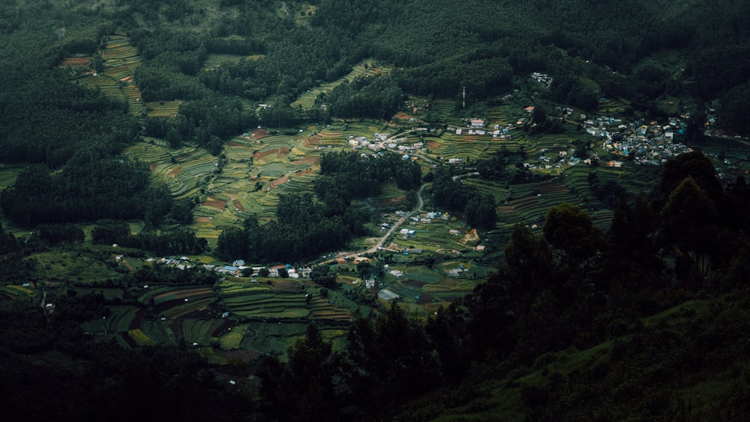 Mokpo